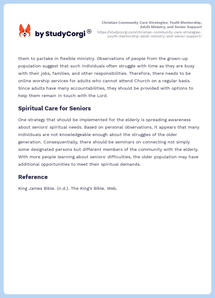 Christian Community Care Strategies: Youth Mentorship, Adult Ministry, and Senior Support. Page 2
