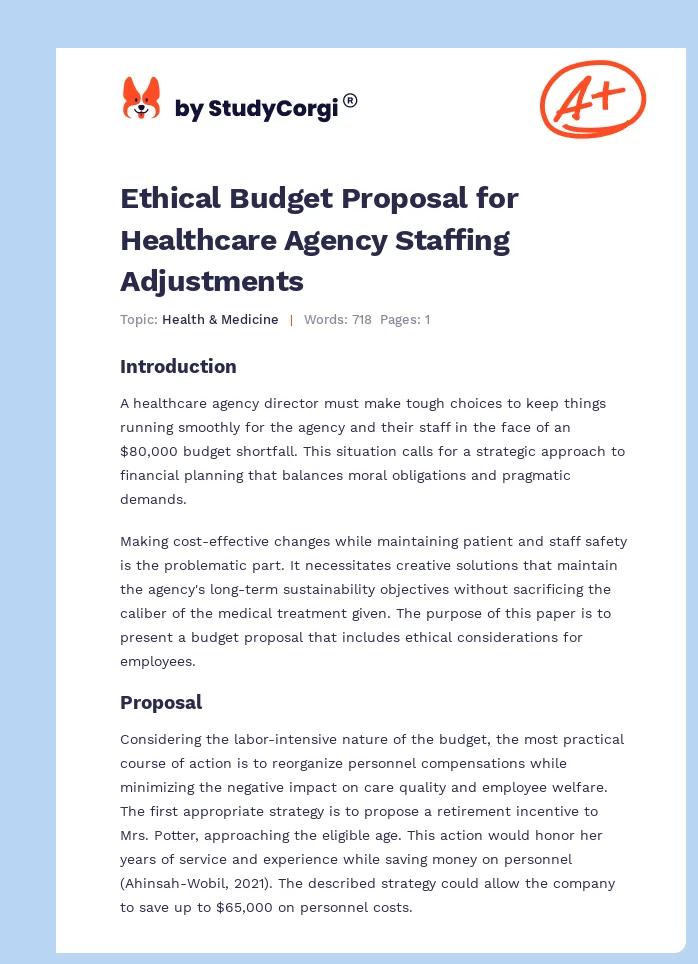 Ethical Budget Proposal for Healthcare Agency Staffing Adjustments. Page 1