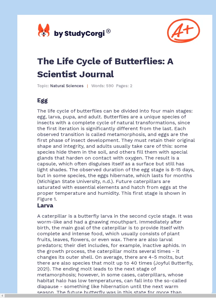 The Life Cycle of Butterflies: A Scientist Journal. Page 1