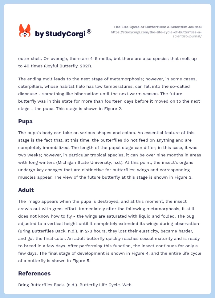 The Life Cycle of Butterflies: A Scientist Journal. Page 2