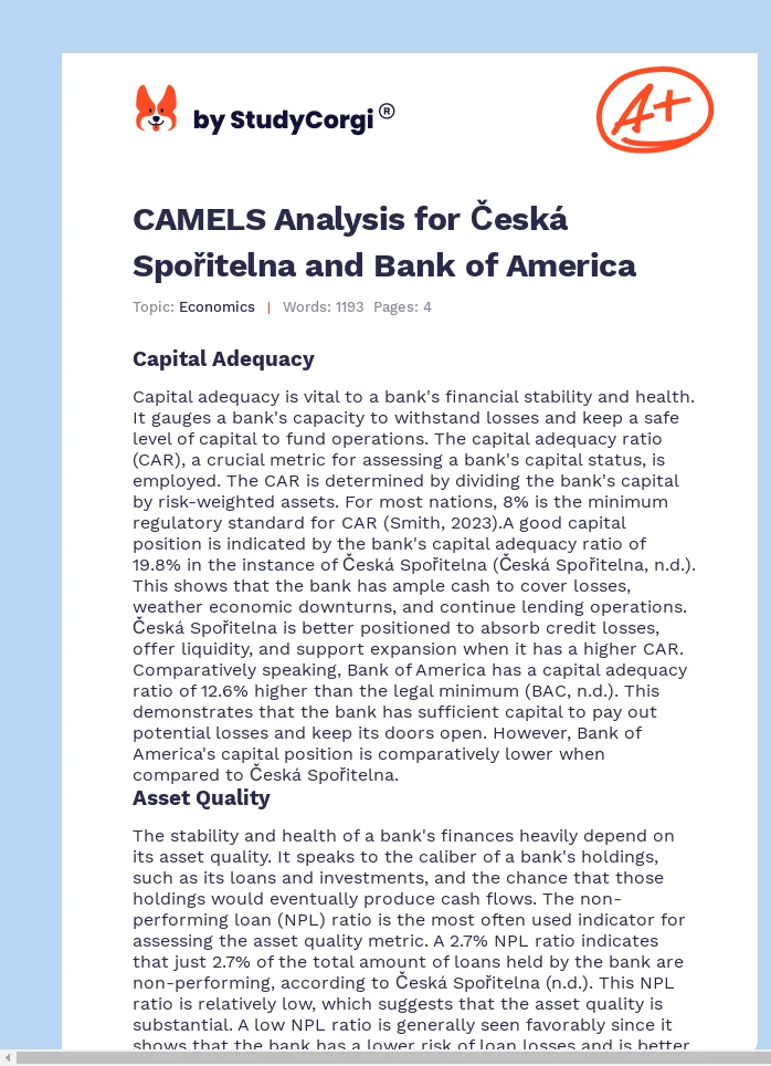 CAMELS Analysis for Česká Spořitelna and Bank of America. Page 1
