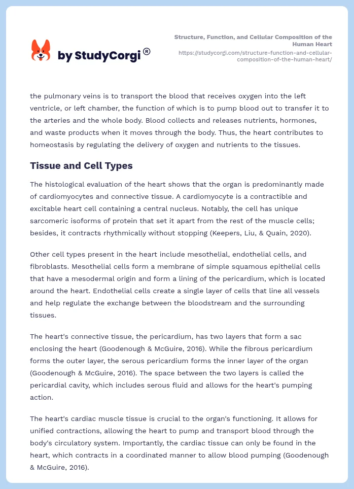 Structure, Function, and Cellular Composition of the Human Heart. Page 2
