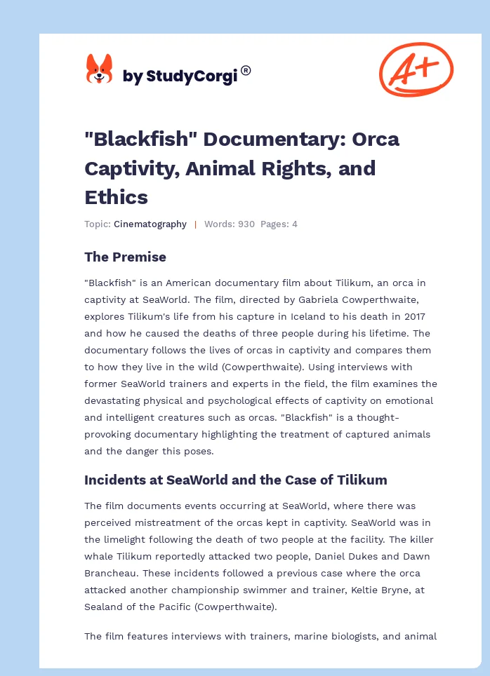 "Blackfish" Documentary: Orca Captivity, Animal Rights, and Ethics. Page 1