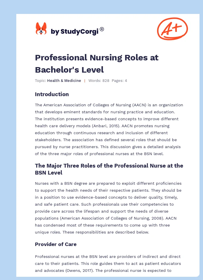 Professional Nursing Roles at Bachelor's Level. Page 1