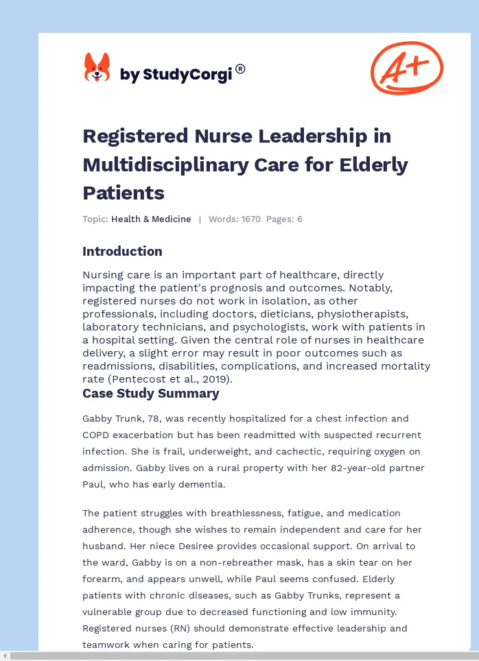 Registered Nurse Leadership in Multidisciplinary Care for Elderly Patients. Page 1
