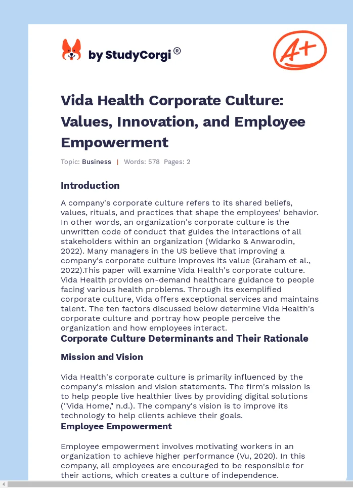 Vida Health Corporate Culture: Values, Innovation, and Employee Empowerment. Page 1