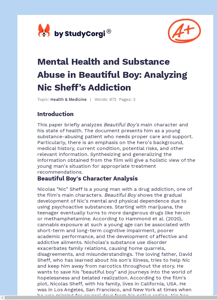 Mental Health and Substance Abuse in Beautiful Boy: Analyzing Nic Sheff’s Addiction. Page 1