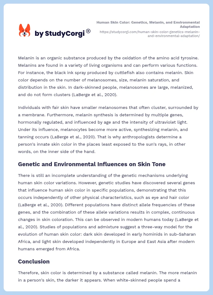 Human Skin Color: Genetics, Melanin, and Environmental Adaptation. Page 2