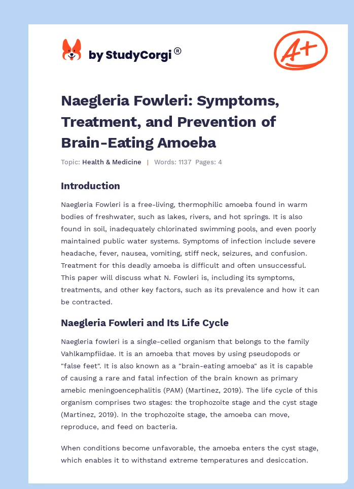 Naegleria Fowleri: Symptoms, Treatment, and Prevention of Brain-Eating Amoeba. Page 1