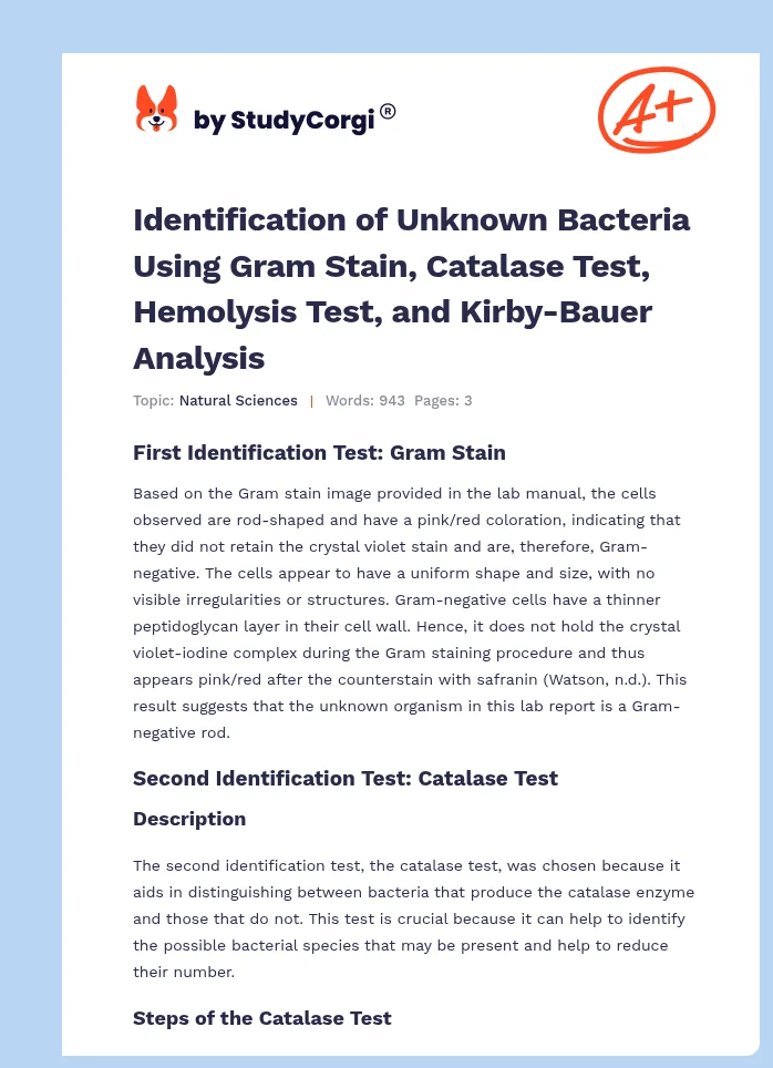 Identification of Unknown Bacteria Using Gram Stain, Catalase Test, Hemolysis Test, and Kirby-Bauer Analysis. Page 1