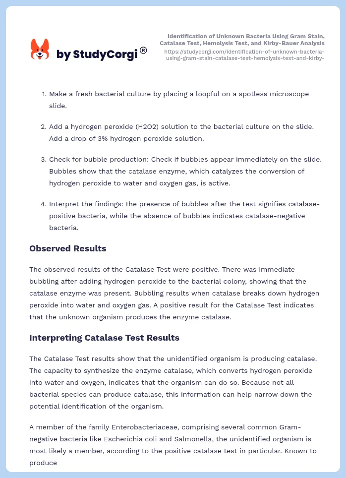 Identification of Unknown Bacteria Using Gram Stain, Catalase Test, Hemolysis Test, and Kirby-Bauer Analysis. Page 2