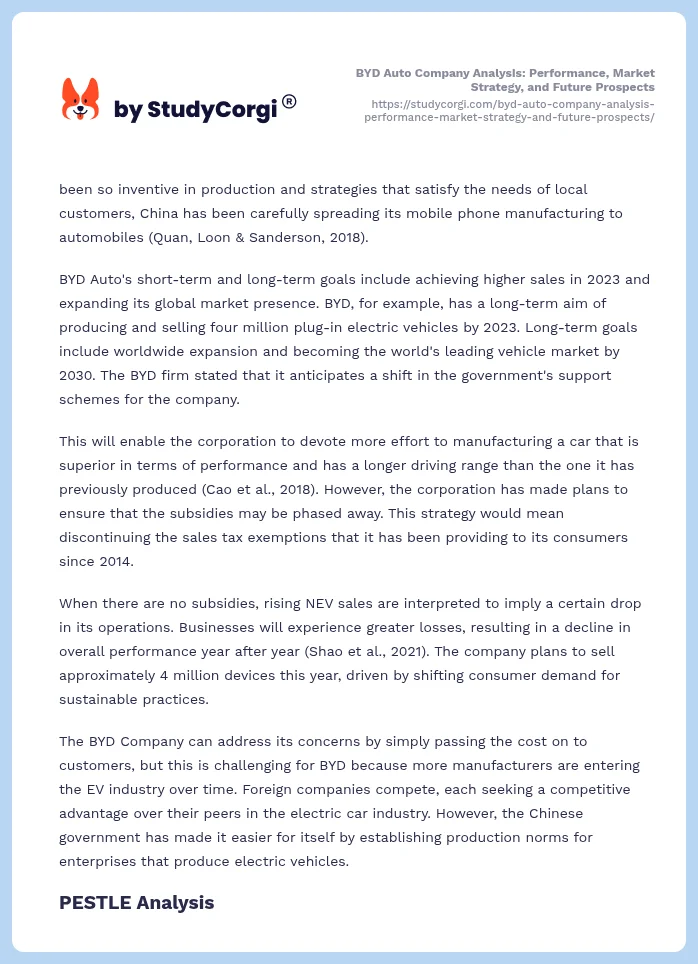 BYD Auto Company Analysis: Performance, Market Strategy, and Future Prospects. Page 2