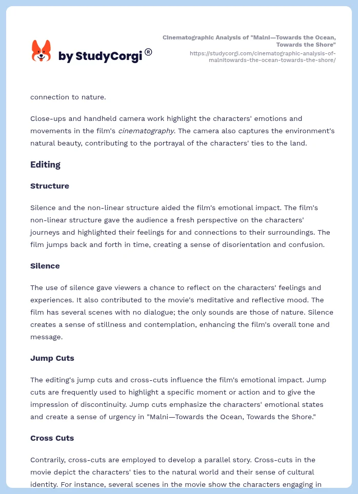 Cinematographic Analysis of "Malni—Towards the Ocean, Towards the Shore". Page 2