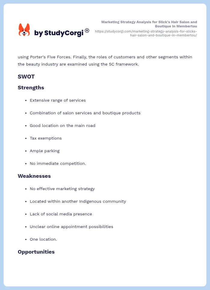Marketing Strategy Analysis for Slick’s Hair Salon and Boutique in Membertou. Page 2