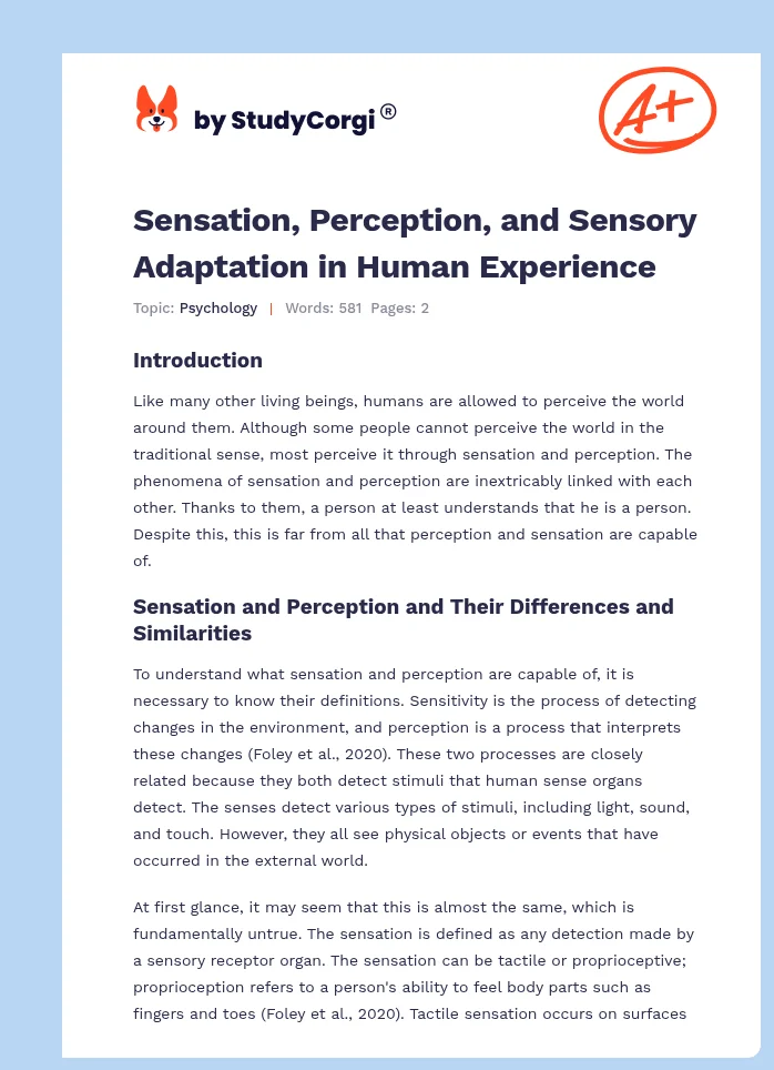 Sensation, Perception, and Sensory Adaptation in Human Experience. Page 1