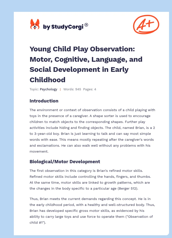 Young Child Play Observation: Motor, Cognitive, Language, and Social Development in Early Childhood. Page 1