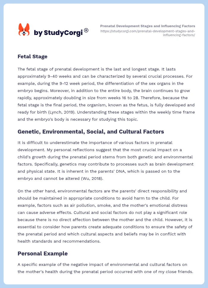 Prenatal Development Stages and Influencing Factors. Page 2