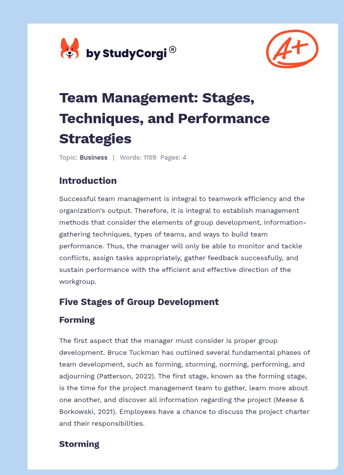 Team Management: Stages, Techniques, and Performance Strategies. Page 1