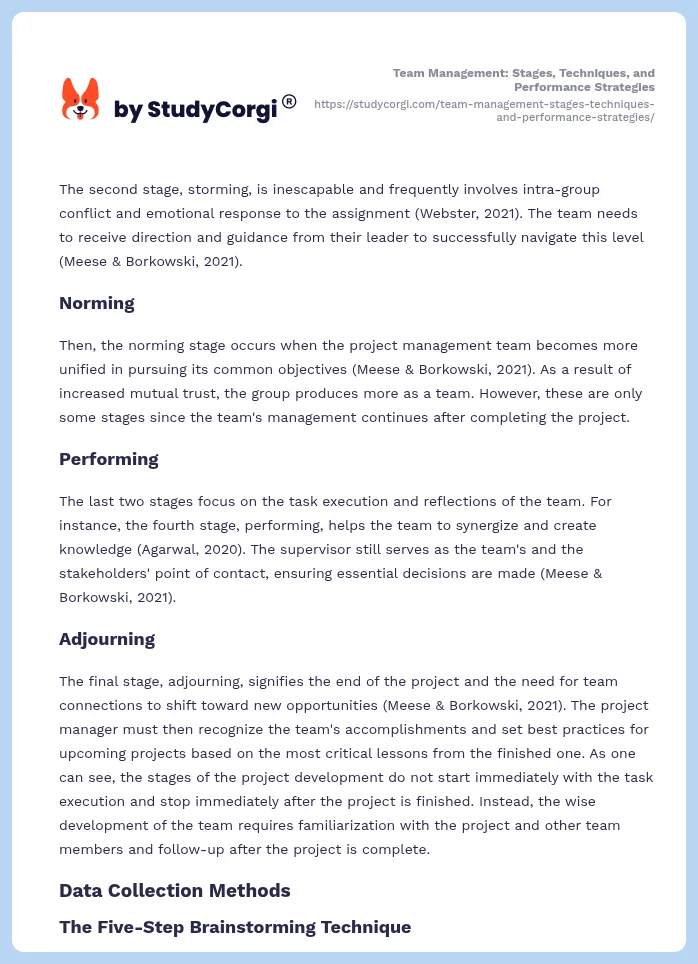 Team Management: Stages, Techniques, and Performance Strategies. Page 2