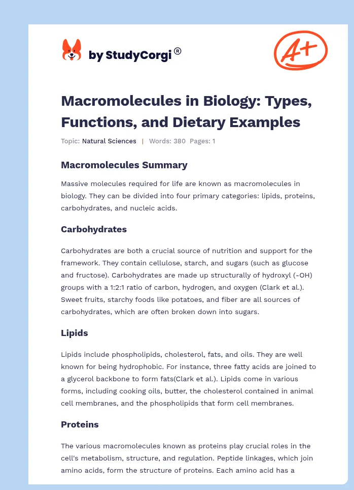 Macromolecules in Biology: Types, Functions, and Dietary Examples. Page 1
