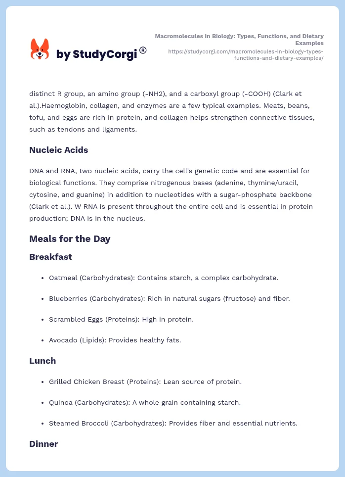 Macromolecules in Biology: Types, Functions, and Dietary Examples. Page 2