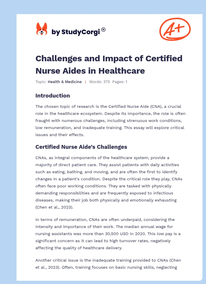 Challenges and Impact of Certified Nurse Aides in Healthcare. Page 1