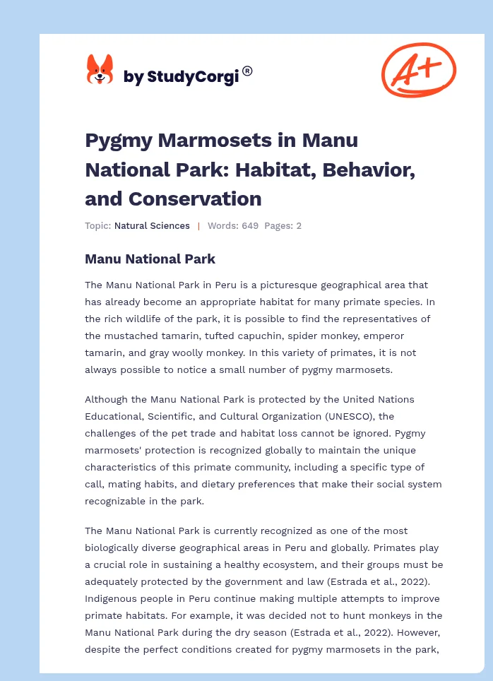 Pygmy Marmosets in Manu National Park: Habitat, Behavior, and Conservation. Page 1