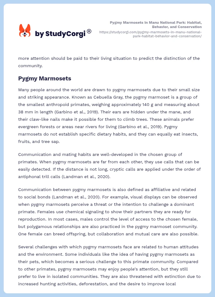 Pygmy Marmosets in Manu National Park: Habitat, Behavior, and Conservation. Page 2