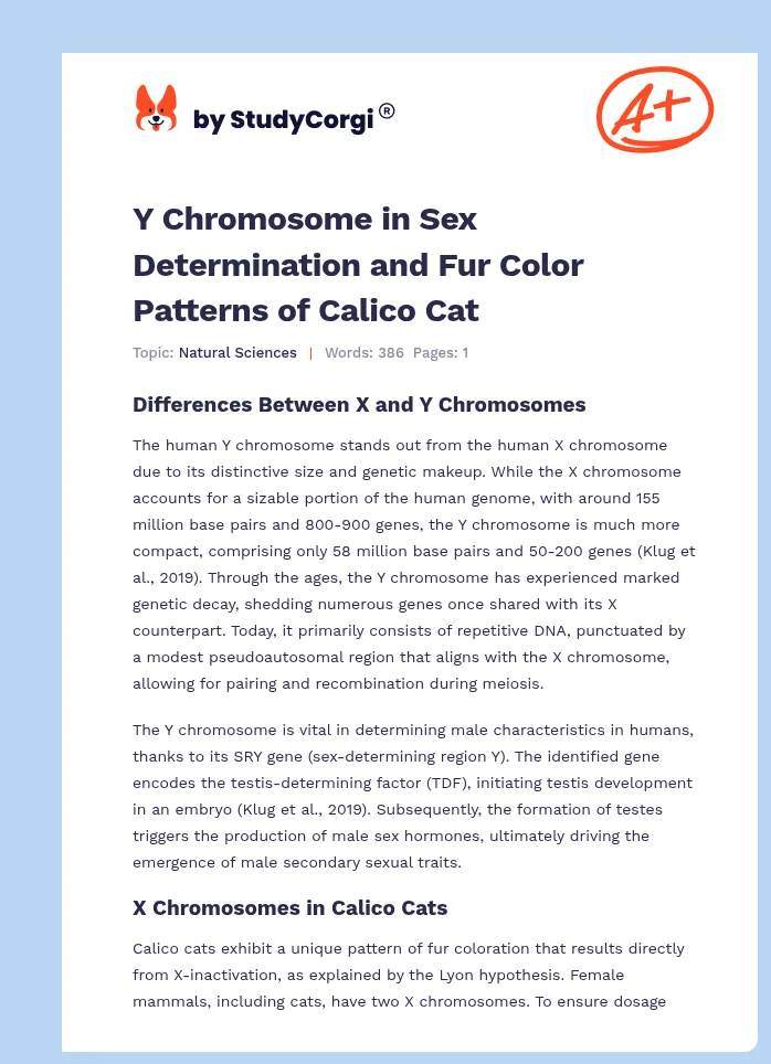 Y Chromosome in Sex Determination and Fur Color Patterns of Calico Cat. Page 1