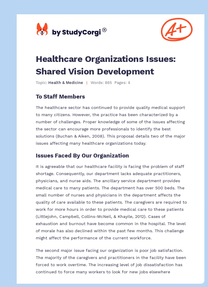 Healthcare Organizations Issues: Shared Vision Development. Page 1