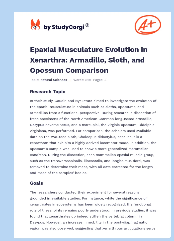 Epaxial Musculature Evolution in Xenarthra: Armadillo, Sloth, and Opossum Comparison. Page 1