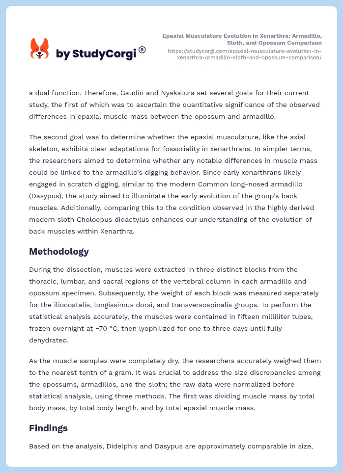Epaxial Musculature Evolution in Xenarthra: Armadillo, Sloth, and Opossum Comparison. Page 2