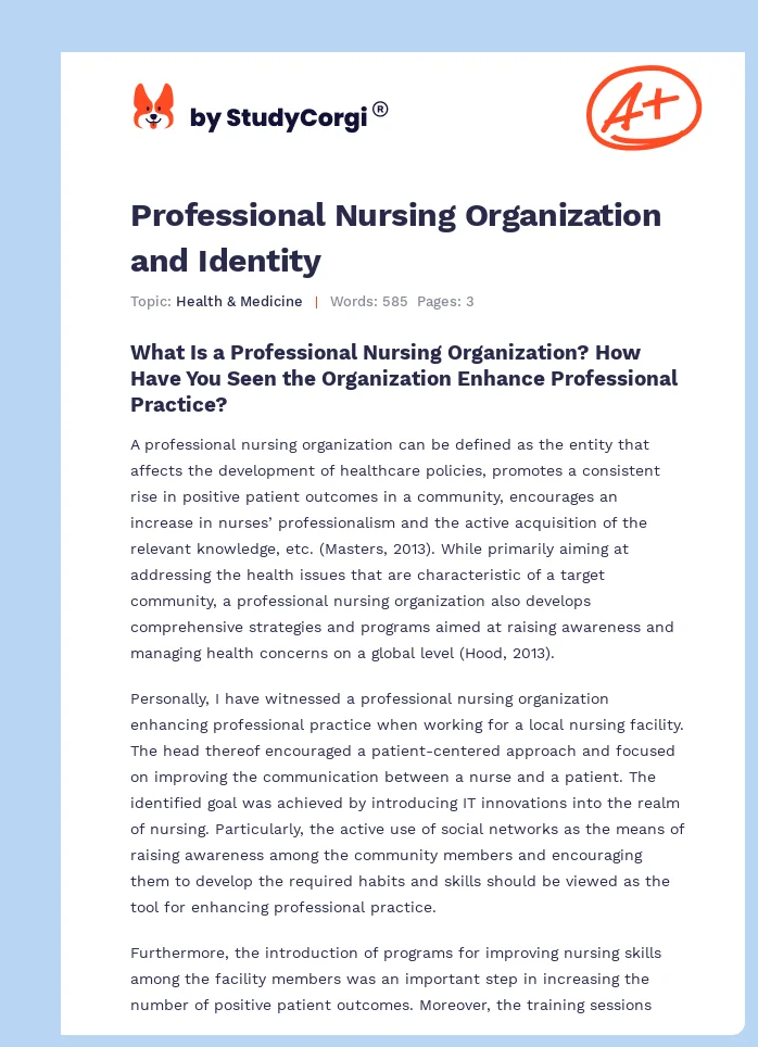 Professional Nursing Organization and Identity. Page 1